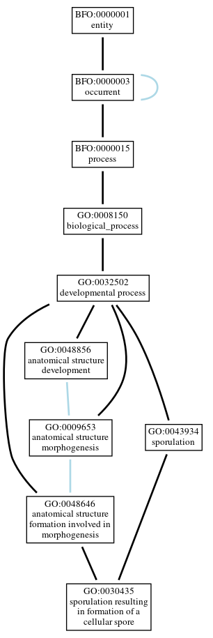 Graph of GO:0030435