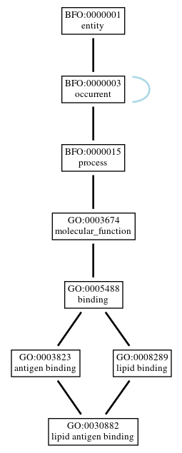 Graph of GO:0030882