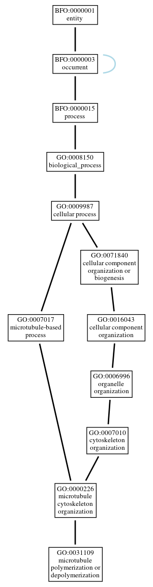 Graph of GO:0031109
