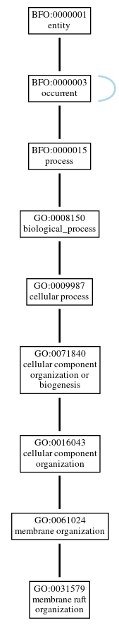 Graph of GO:0031579