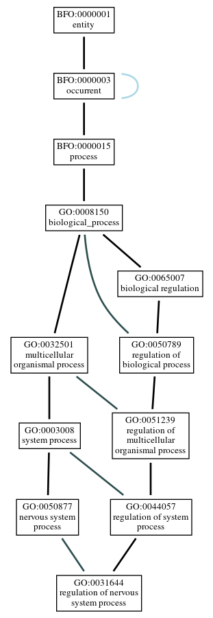 Graph of GO:0031644