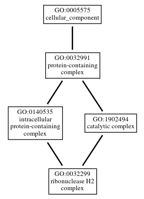 Graph of GO:0032299