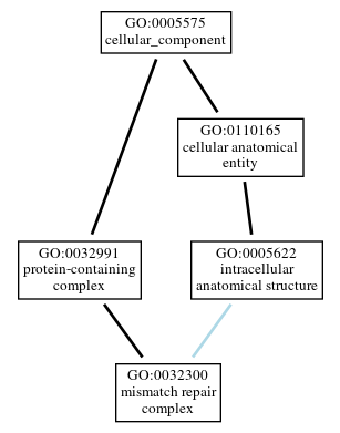 Graph of GO:0032300