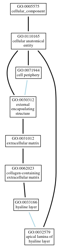Graph of GO:0032579