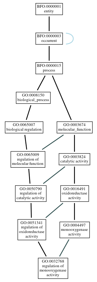 Graph of GO:0032768