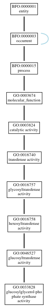 Graph of GO:0033828