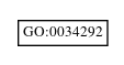 Graph of GO:0034292