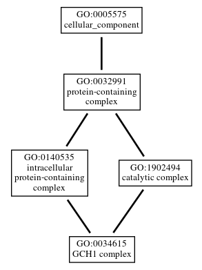 Graph of GO:0034615