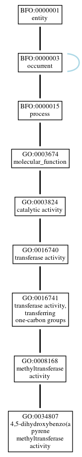Graph of GO:0034807