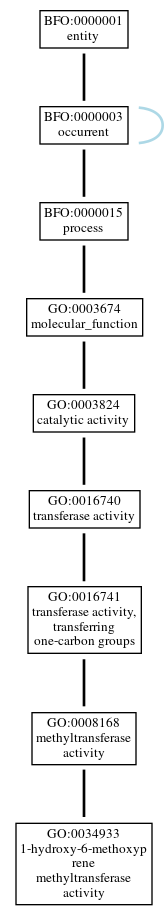 Graph of GO:0034933