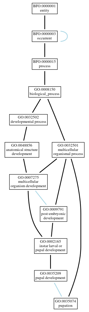 Graph of GO:0035074