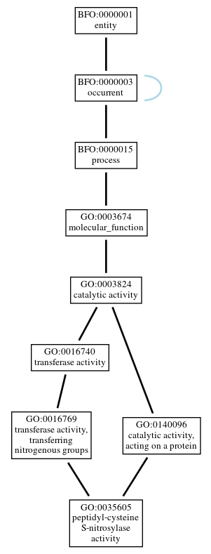 Graph of GO:0035605