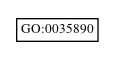Graph of GO:0035890