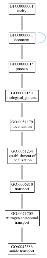 Graph of GO:0042886
