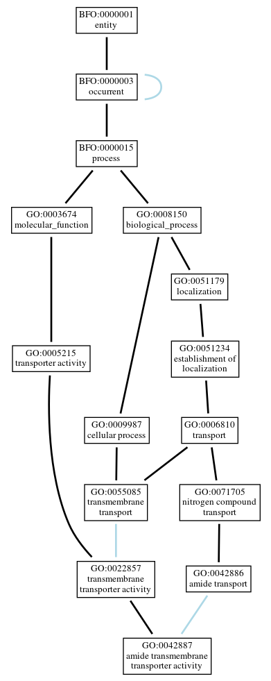 Graph of GO:0042887