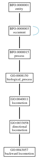 Graph of GO:0043057