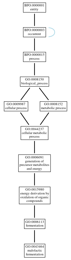Graph of GO:0043464