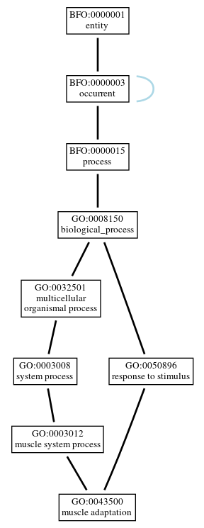 Graph of GO:0043500