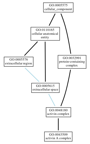 Graph of GO:0043509