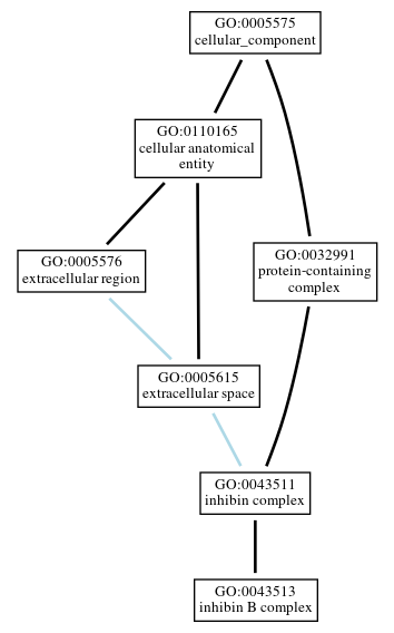 Graph of GO:0043513
