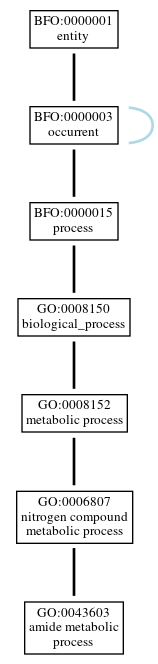 Graph of GO:0043603