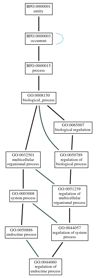 Graph of GO:0044060