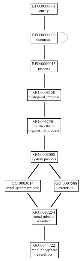 Graph of GO:0044722
