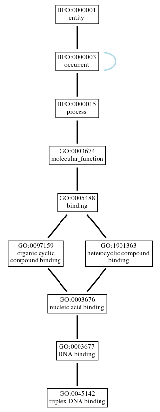 Graph of GO:0045142