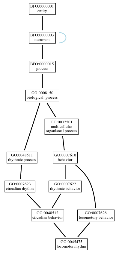 Graph of GO:0045475
