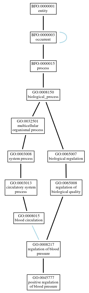 Graph of GO:0045777