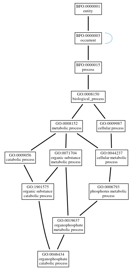 Graph of GO:0046434