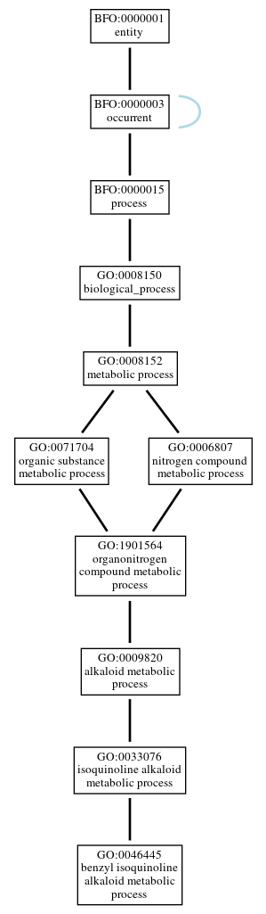 Graph of GO:0046445