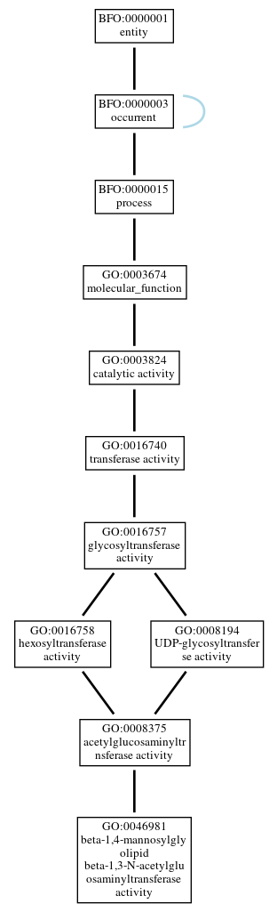 Graph of GO:0046981