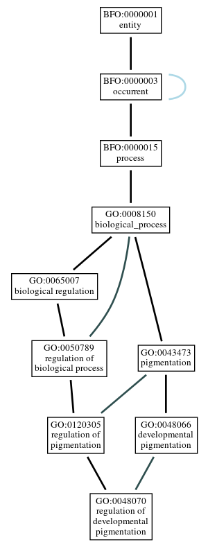 Graph of GO:0048070