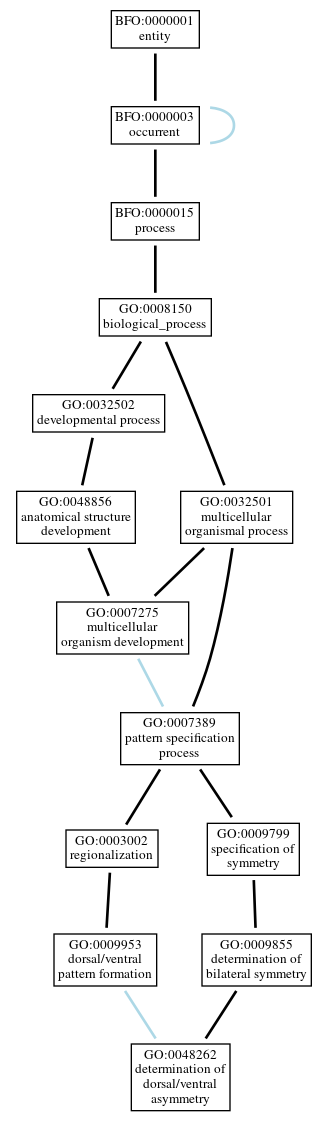 Graph of GO:0048262