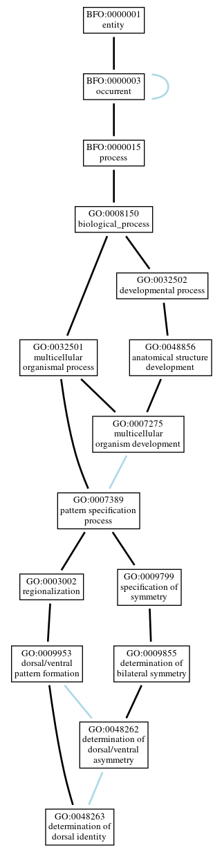 Graph of GO:0048263