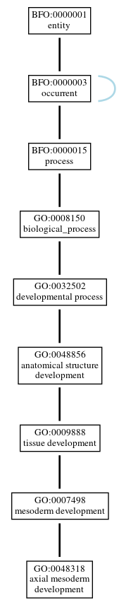 Graph of GO:0048318