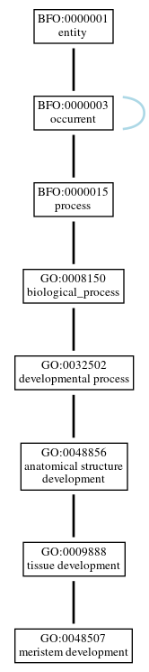 Graph of GO:0048507