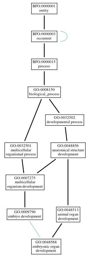 Graph of GO:0048568