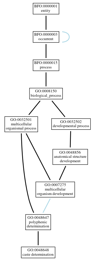 Graph of GO:0048648