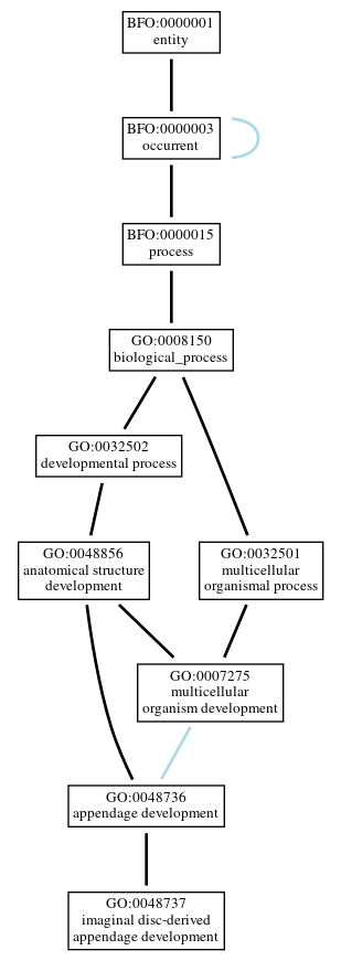 Graph of GO:0048737
