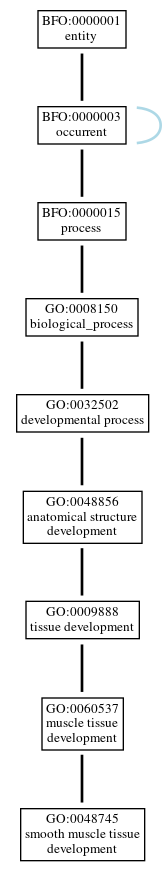 Graph of GO:0048745