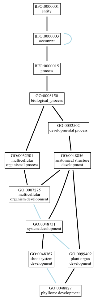 Graph of GO:0048827