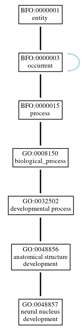 Graph of GO:0048857