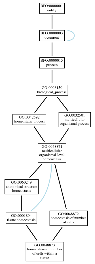 Graph of GO:0048873