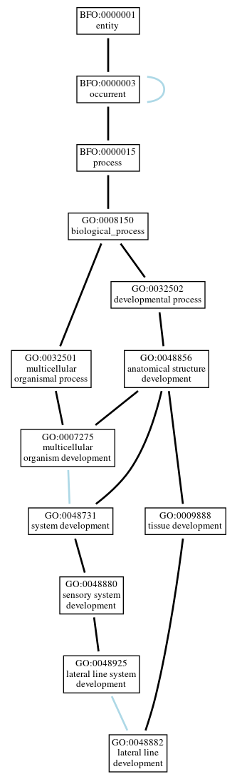 Graph of GO:0048882