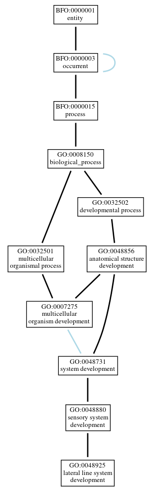 Graph of GO:0048925