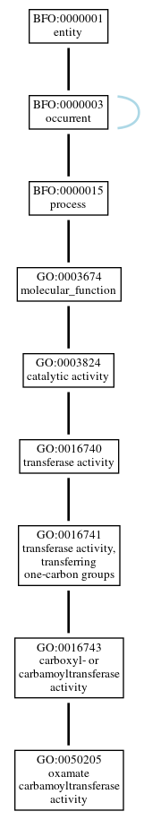 Graph of GO:0050205