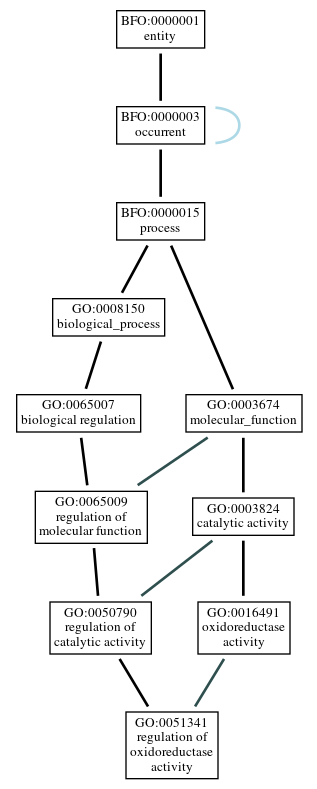 Graph of GO:0051341