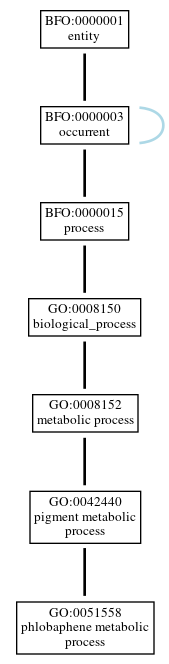 Graph of GO:0051558